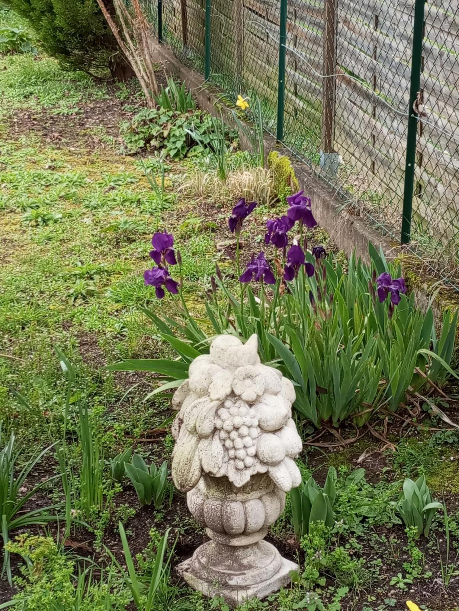 Jolie Maison Quartier Vesone Périgueux Zewnętrze zdjęcie
